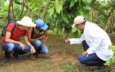 8 RAZONES DE POR QUÉ LAS CARRERAS AGRÍCOLAS SE NECESITAN MÁS QUE NUNCA
