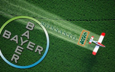 EL NUEVO ORDEN EN EL SECTOR AGROQUÍMICO