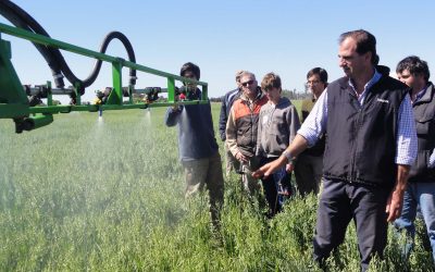 ¿CUÁNTAS HECTÁREAS DEBE VER UN INGENIERO AGRÓNOMO?