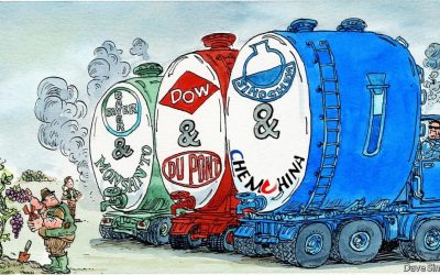 LA INDUSTRIA DE AGROQUÍMICOS Y SU SITUACIÓN ACTUAL
