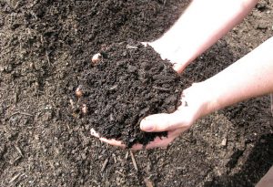 En esta ocasión, queremos compartir una entrevista al Ingeniero