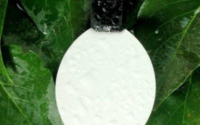 ¿QUÉ FÁCIL SERÍA QUE LA PLANTA GRITARA PIDIENDO AGUA, VERDAD? AHORA PUEDEN GRACIAS A UN INNOVADOR SENSOR