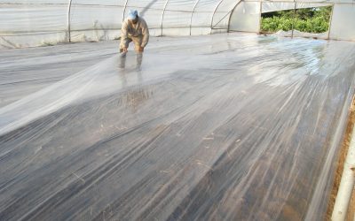 BIOSOLARIZACIÓN PASO A PASO