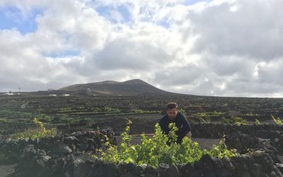 Ingeniería y asesoramiento agrícola en Canarias