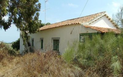 Presentamos Proyecto de Ingeniería Agrícola, para la reactivación de una finca rústica: solicitud de punto de luz y agua.