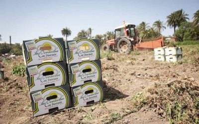 Producción integrada en Canarias. Gestión eficiente de los recursos