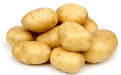 Cultivo de la papa en Canarias