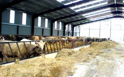 Ingeniería agrícola: Proyecto de nave ganadera