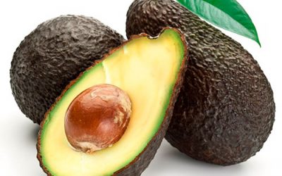 Cultivo de aguacate en Canarias