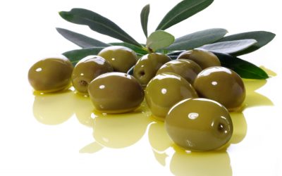Cultivo de olivo en Canarias