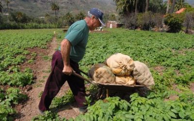 Trámite de subvenciones del Gobierno de Canarias