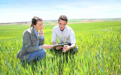 La función del perito agrónomo judicial en el mundo rural