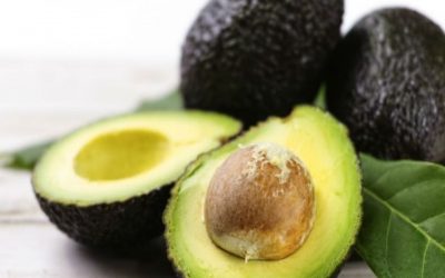 Las comercializadoras están forzando a que el aguacate se distribuya antes de su maduración en Canarias