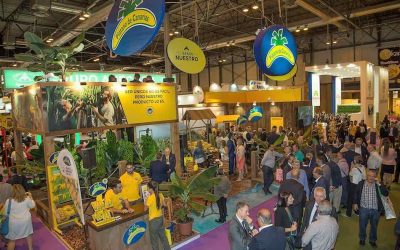 Fruit Attraction es testigo del gran potencial de Canarias para la producción agrícola