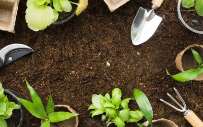 Descubre el mejor servicio Asesoramiento en Jardinería ¡en Canarias!