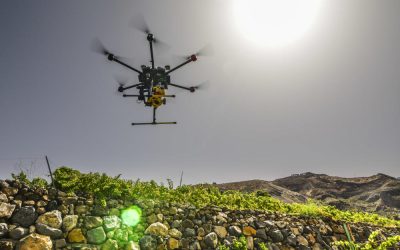 Drones en la agricultura, el aporte de la tecnología