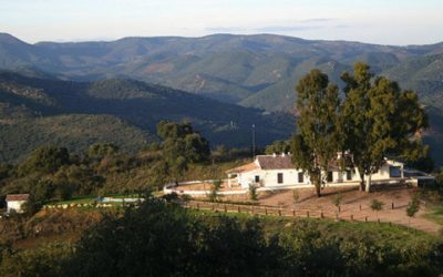 Informe para tasar tu finca agrícola y venderla al mejor precio