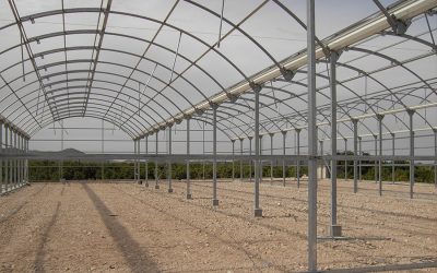 La Ingeniería de invernadero: tecnología a favor de la producción agrícola