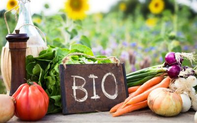 10 mitos y verdades sobre la agricultura ecológica