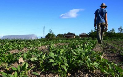 Claves para mejorar la vida de los productores del campo