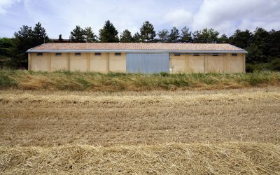 Agroingeniería: proyectos de rehabilitación de infraestructuras