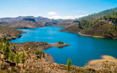 Importancia de la optimización en el uso del agua en la agricultura de las Islas Canarias