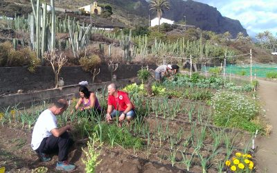 Mecanismos de control y certificación de la agricultura ecológica en Canarias