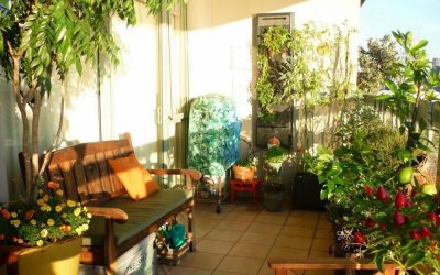 El huerto agrícola en Casa