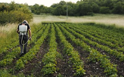 El sector primario no para, la agricultura en las islas tampoco