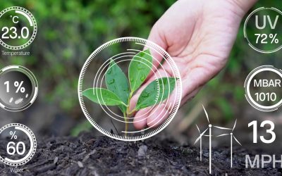 Ingenieros Agrícolas imprescindibles en la Agricultura de Precisión