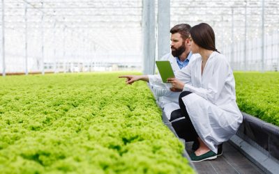 El rol del Ingeniero Agrónomo
