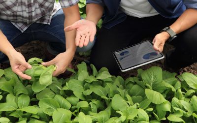 ¡Rompe con los mitos de la agricultura de precisión!
