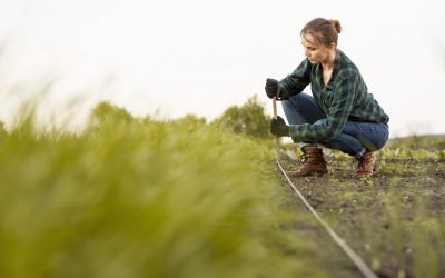 ¿Cuáles son los usos del riego en agricultura?
