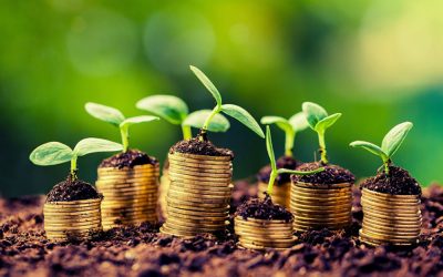 Emprendedor agrícola – El negocio de la agricultura
