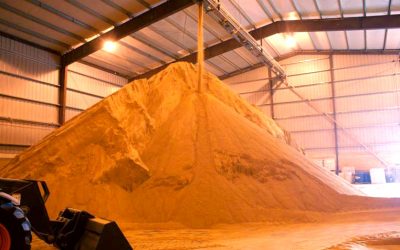 Precio proyecto de nave agrícola