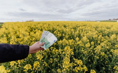 Cómo rentabilizar una finca rústica