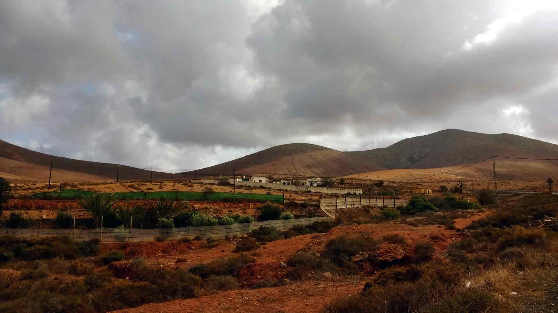 agricultura en Fuerteventura