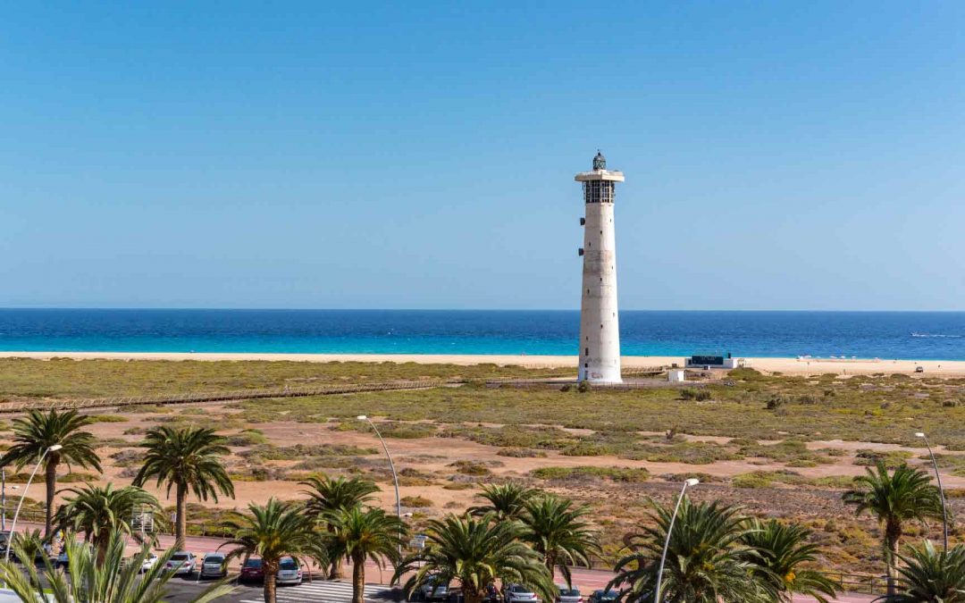 Agroingenia Canarias: Tu Ingeniero Agrónomo en Fuerteventura