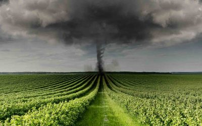 Cómo afecta el cambio climático a la agricultura