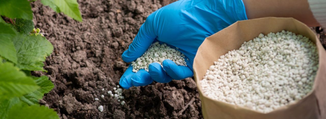 Cuáles son los beneficios de los fertilizantes orgánicos? - AGROINGENIA