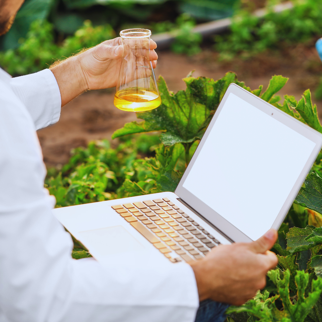 Agricultor con ordenador en plantación | Ingeniería agrícola