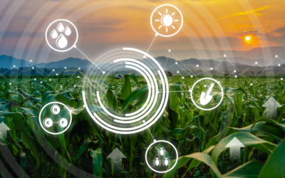 Gestión de datos agrícolas: La revolución digital en la ingeniería agrícola