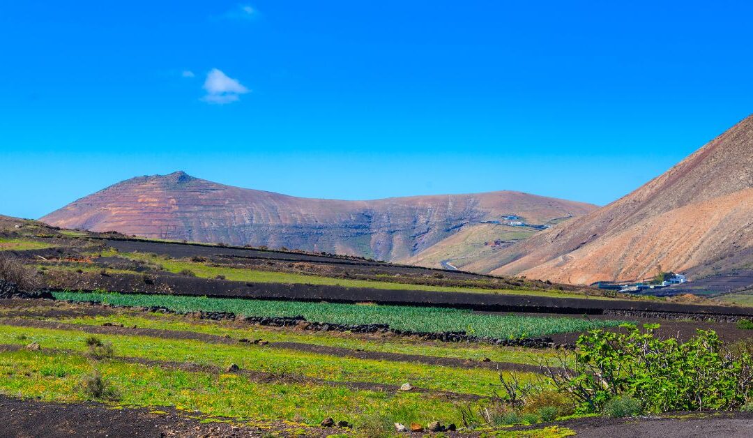La Revolución Verde: Cómo la ingeniería agrícola está cambiando el paisaje de Canarias