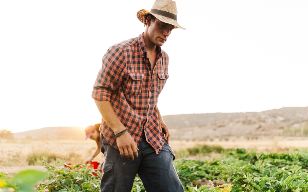 El ingeniero agrónomo