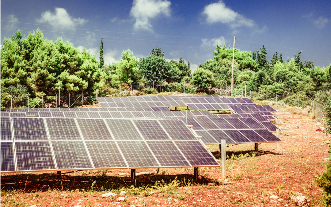 Placas fotovoltaicas en explotaciones agrícolas