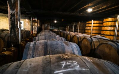 Proyecto de bodega en El Hierro: guía con licencias y requisitos
