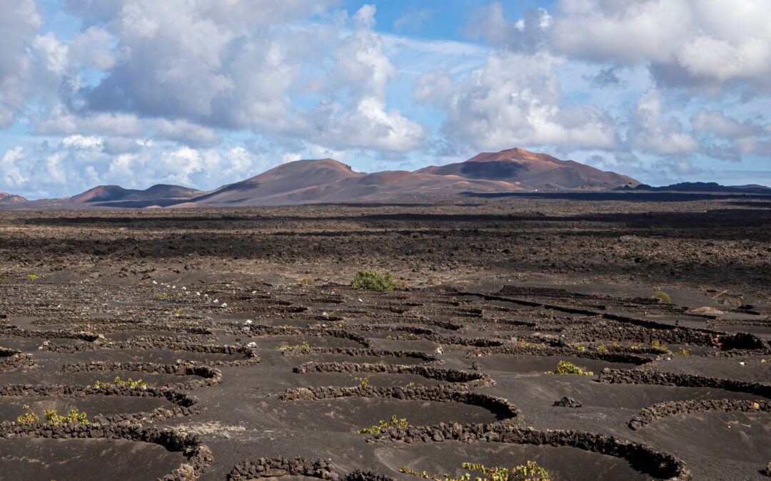 Viñedos en suelo volcánico de Lanzarote, ejemplo de proyecto agrícola en Canarias que requiere calificación territorial