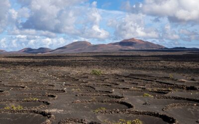 Calificación territorial para proyectos agrícolas en Canarias